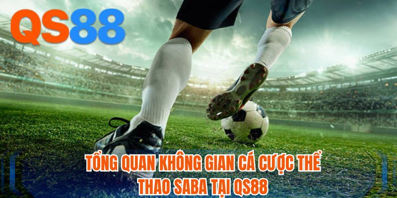 Tổng quan không gian cá cược thể thao Saba tại QS88